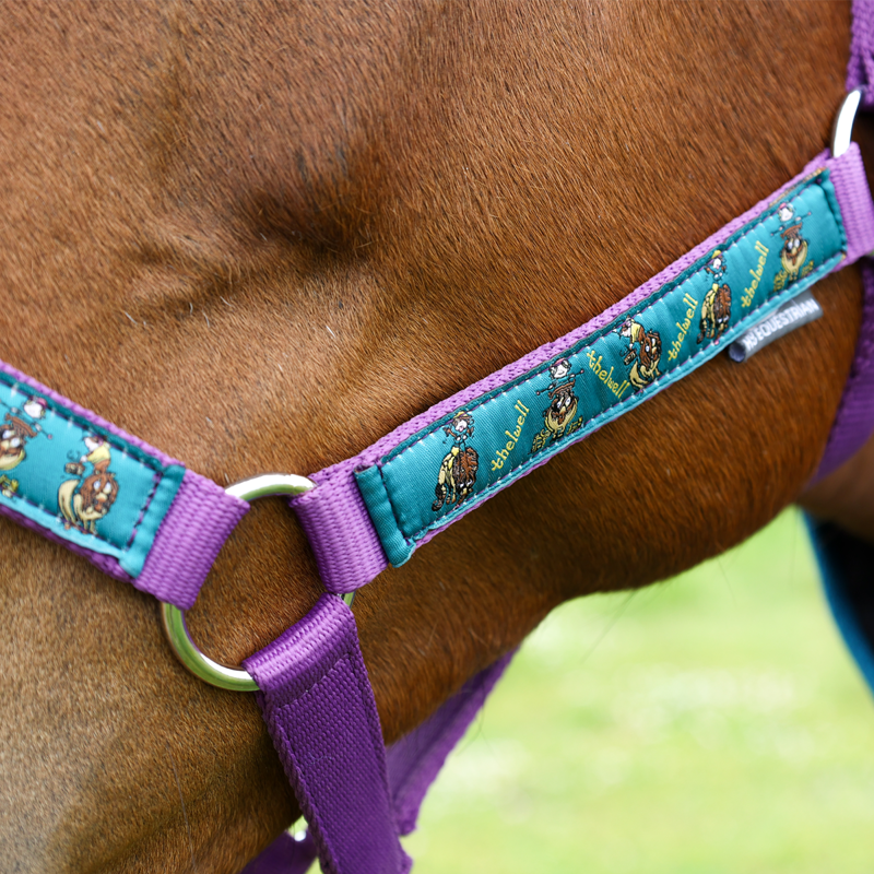 Hy Equestrian Thelwell Collection Pony Friends Headcollar and Leadrope - Imperial Purple/Pacific Blue-3